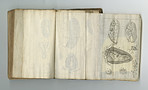 Weather-beaten book