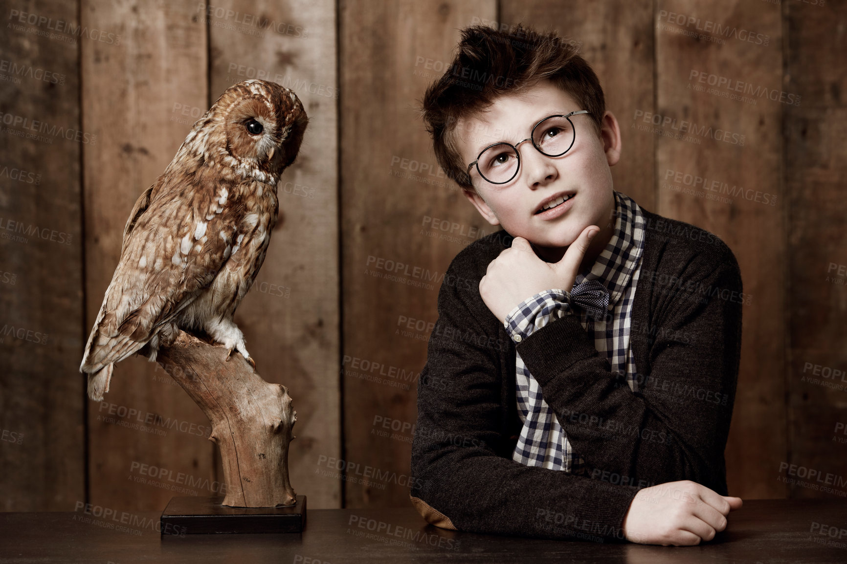 Buy stock photo Young boy in retro clothing wearing spectacles with a thoughtful expression alongside an owl