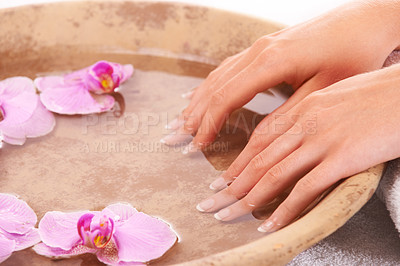 Buy stock photo Woman, hands and water for manicure, skincare or cosmetics in zen, beauty or salon and spa treatment. Closeup of female person resting nails in bowl of natural mineral liquid with flowers in wellness