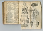 Rustic journal of medicine