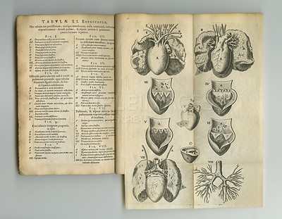 Buy stock photo Ancient medical book, sketch and health study of anatomy, heart process drawing or reference page with label information. Latin journal, organ and antique diagram for healthcare education knowledge