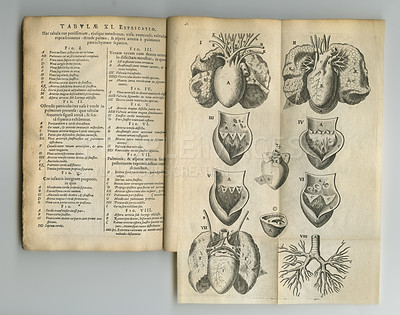 Buy stock photo Ancient medical book, paper sketch or health study of anatomy, heart process drawing or reference page with label info. Latin journal text, medicine or old antique diagram for organ disease treatment