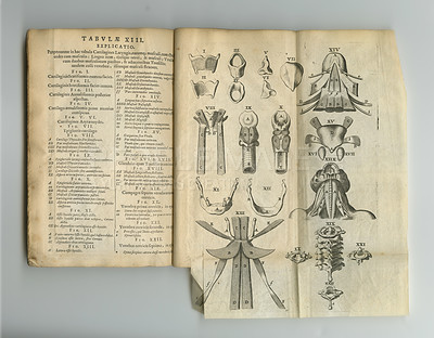 Buy stock photo Medical book, vintage sketch or drawing of anatomy bones, medicine research or information on health study. Latin journal, healthcare guide or antique diagram of historical text, healing or knowledge