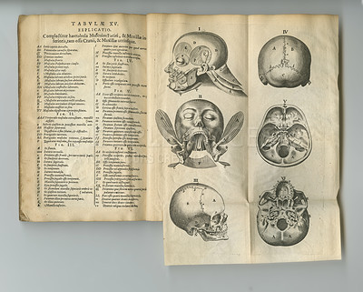 Buy stock photo Medical book, antique and drawing of head bones, medicine research or anatomy information. Latin journal text, healthcare neuroscience and skull diagram sketch for vintage neurosurgery guide