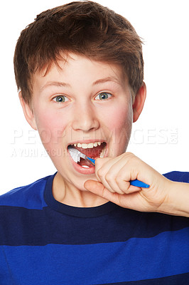 Buy stock photo Face, smile and child brushing teeth in studio isolated on a white background. Portrait, boy and kid with toothbrush for oral health, hygiene and dental wellness, fresh breath and cleaning gums.