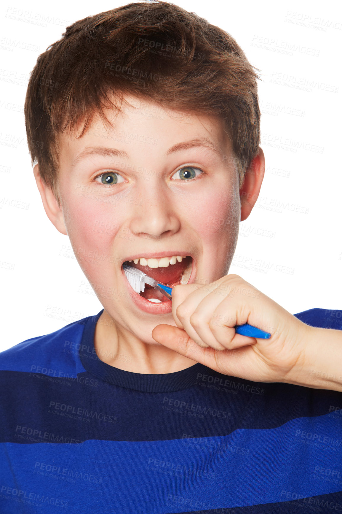 Buy stock photo Face, smile and child brushing teeth in studio isolated on a white background. Portrait, boy and kid with toothbrush for oral health, hygiene and dental wellness, fresh breath and cleaning gums.