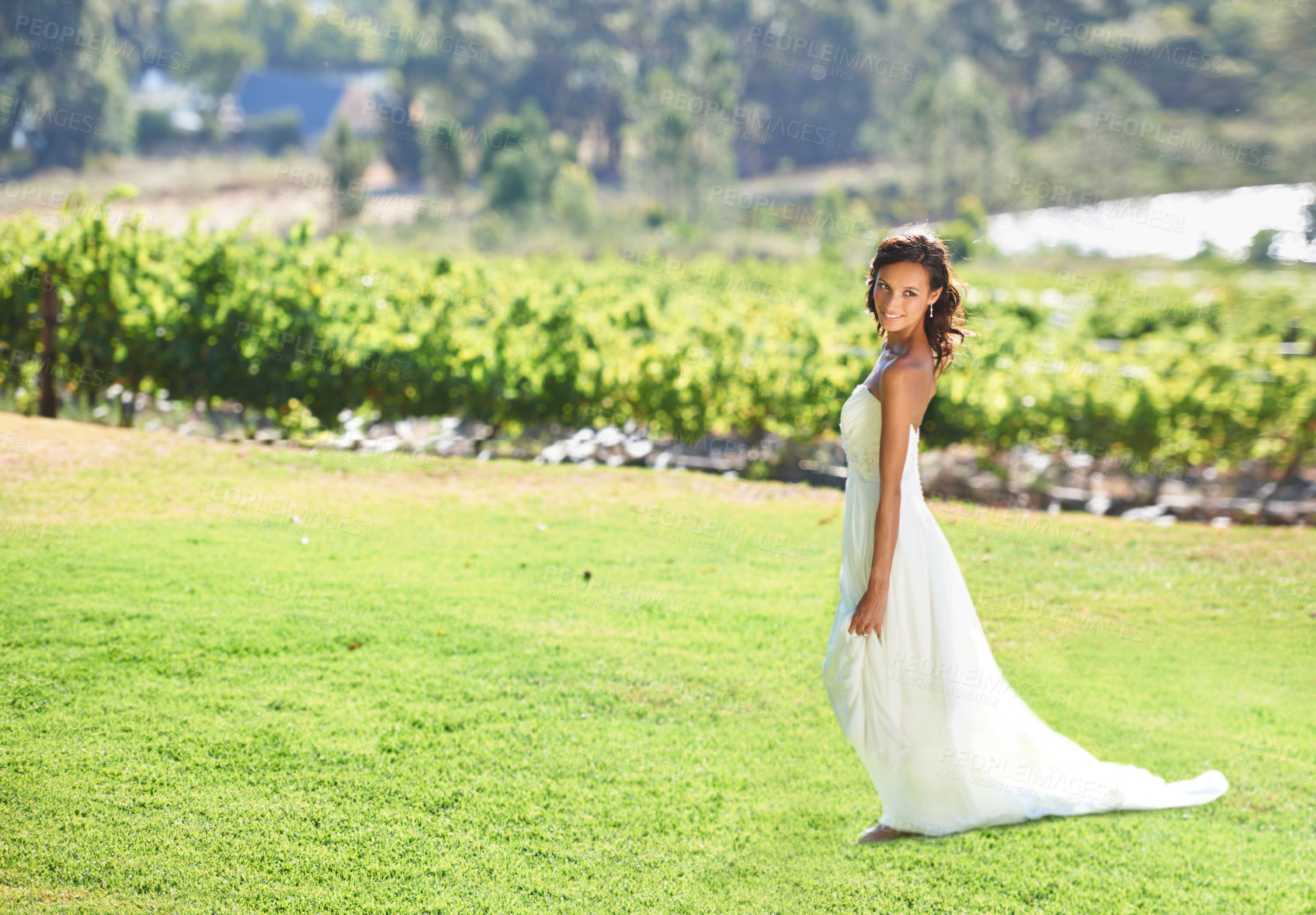 Buy stock photo A beautiful bride standing in front of a vineyard