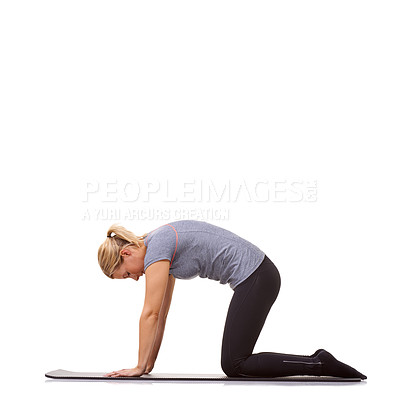 Buy stock photo Woman, yoga or cat pose for fitness, workout or stretching body in studio on mockup white background. Profile, healthy lady or bend back for strong core, spine extension or flexible exercise on floor