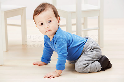 Buy stock photo Cute, crawling and portrait of baby on floor for child development, learning and youth. Young, curious and adorable with infant kid on ground of family home for growth, progress and milestone