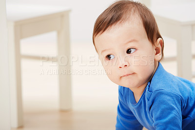 Buy stock photo Cute, crawling and explore with baby on floor for child development, learning and youth. Young, curious and adorable with infant kid on ground of family home for growth, progress and first steps