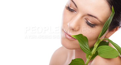 Buy stock photo Skincare, leaf and woman in studio for makeup, wellness and eco friendly cosmetics on white background. Plant, mockup and face of beauty model with natural dermatology, treatment or skin detox shine
