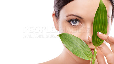 Buy stock photo Woman, skincare and beauty with leaves in studio portrait, mockup space and growth by white background. Girl, model or person with sustainability, wellness and natural dermatology for facial change