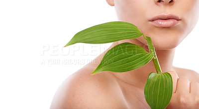 Buy stock photo A cropped image of a woman holding green leaves up to her face