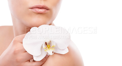 Buy stock photo Woman, skincare and beauty with orchid in hand, studio and natural change for wellness by white background. Girl, model or person with flower, floral plant and growth with cosmetics, choice or health