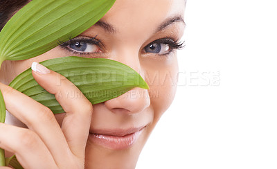 Buy stock photo Closeup portrait of a woman looking at the camera through green leaves