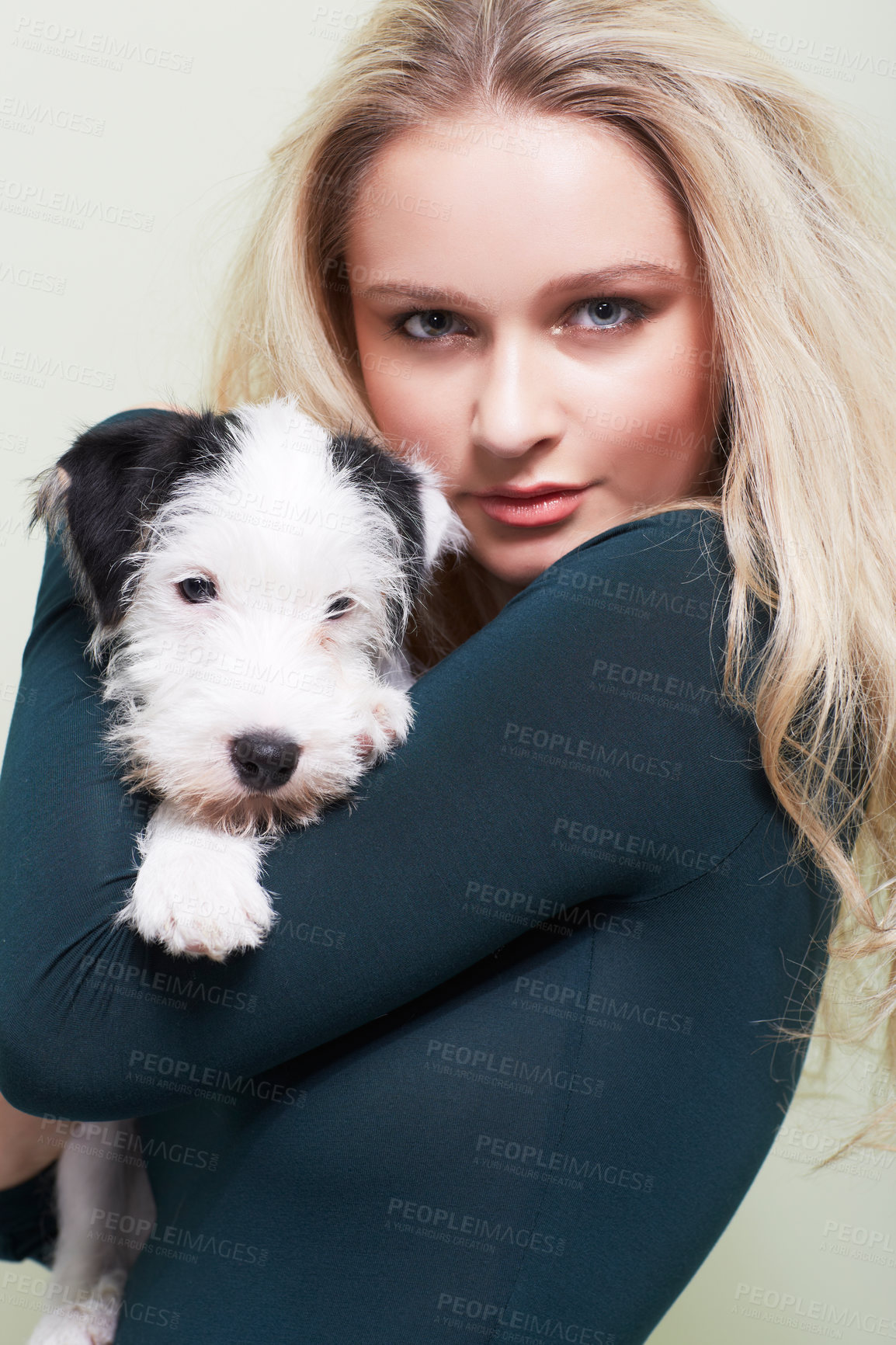Buy stock photo Portrait, hug and woman with a dog in her home with love, care and bonding, trust and chilling together. Puppy, love and face of female person embracing Jackapoo pet in house with support or security