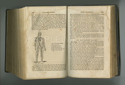 Buy stock photo Old book, pages and anatomy of respiratory system or body veins in manuscript, ancient scripture or literature against a studio background. Historical novel, journal or illustration of human research