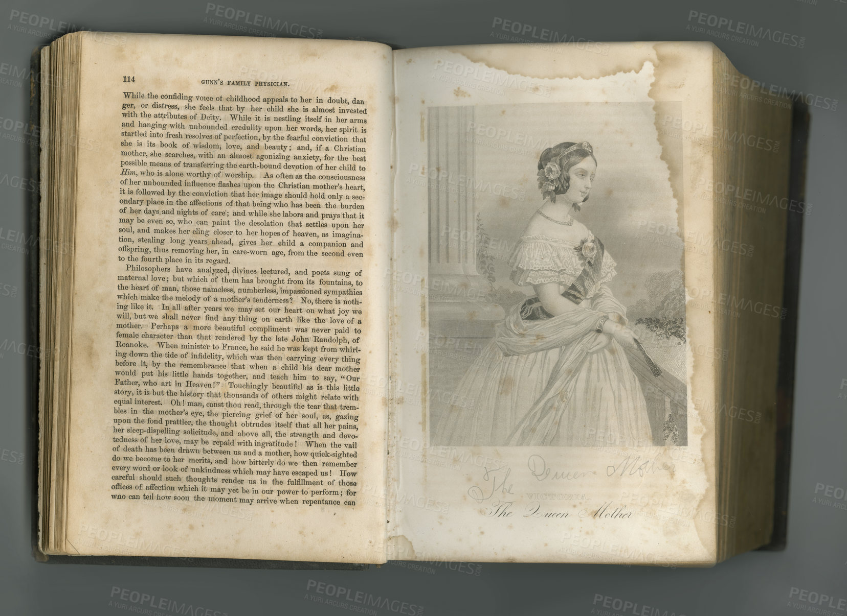 Buy stock photo Old book, vintage and page of the queen mother in literature, text or ancient scripture against studio background. Closeup of historical novel, journal or antique history study of iconic female idle