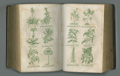 Buy stock photo Old book, plants and vintage pages of herbs in biology for medical study or history against a studio background. Closeup of historical novel, botanical journal or education for natural remedy