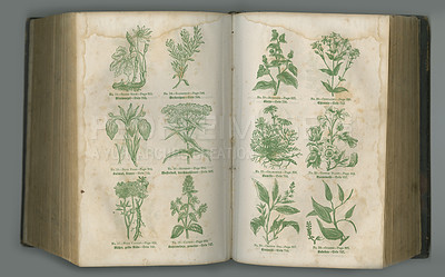 Buy stock photo Old book, plants and vintage pages in biology for medical study or history of herbs against a studio background. Closeup of historical novel, botanical journal or paper for natural remedy