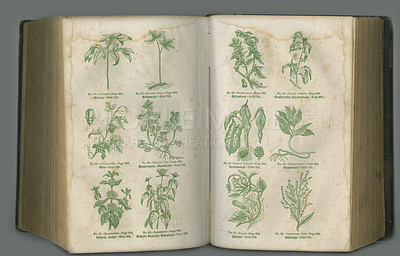 Buy stock photo Old book, plants and vintage herbs in biology for medical study or history pages against a studio background. Historical novel, botanical journal or paper of natural remedy, text or discovery