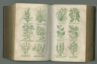 Buy stock photo Old book, plants and vintage herbs of study, medical history or pages in biology against a studio background. Historical novel, botanical journal or paper of natural remedy, text or discovery