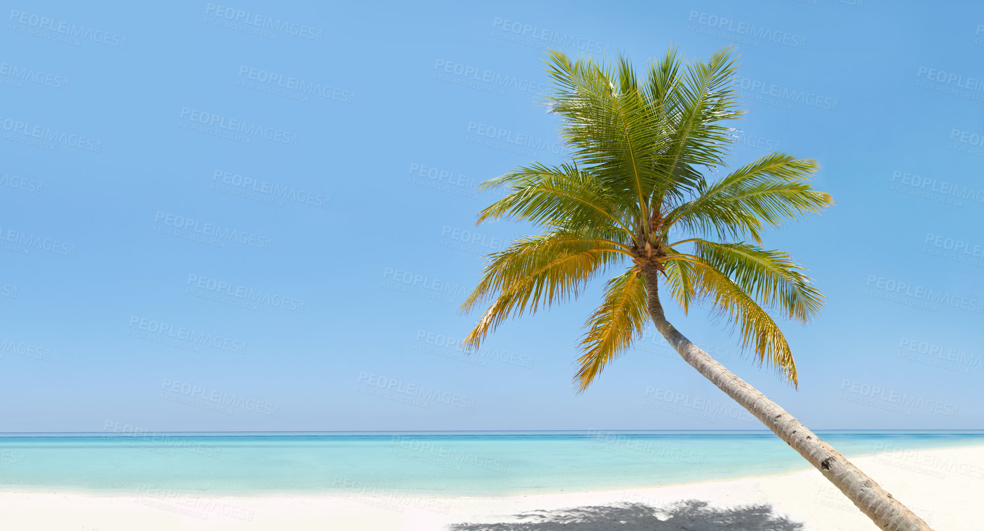 Buy stock photo A beautiful turquoise ocean with a palm tree in the foreground