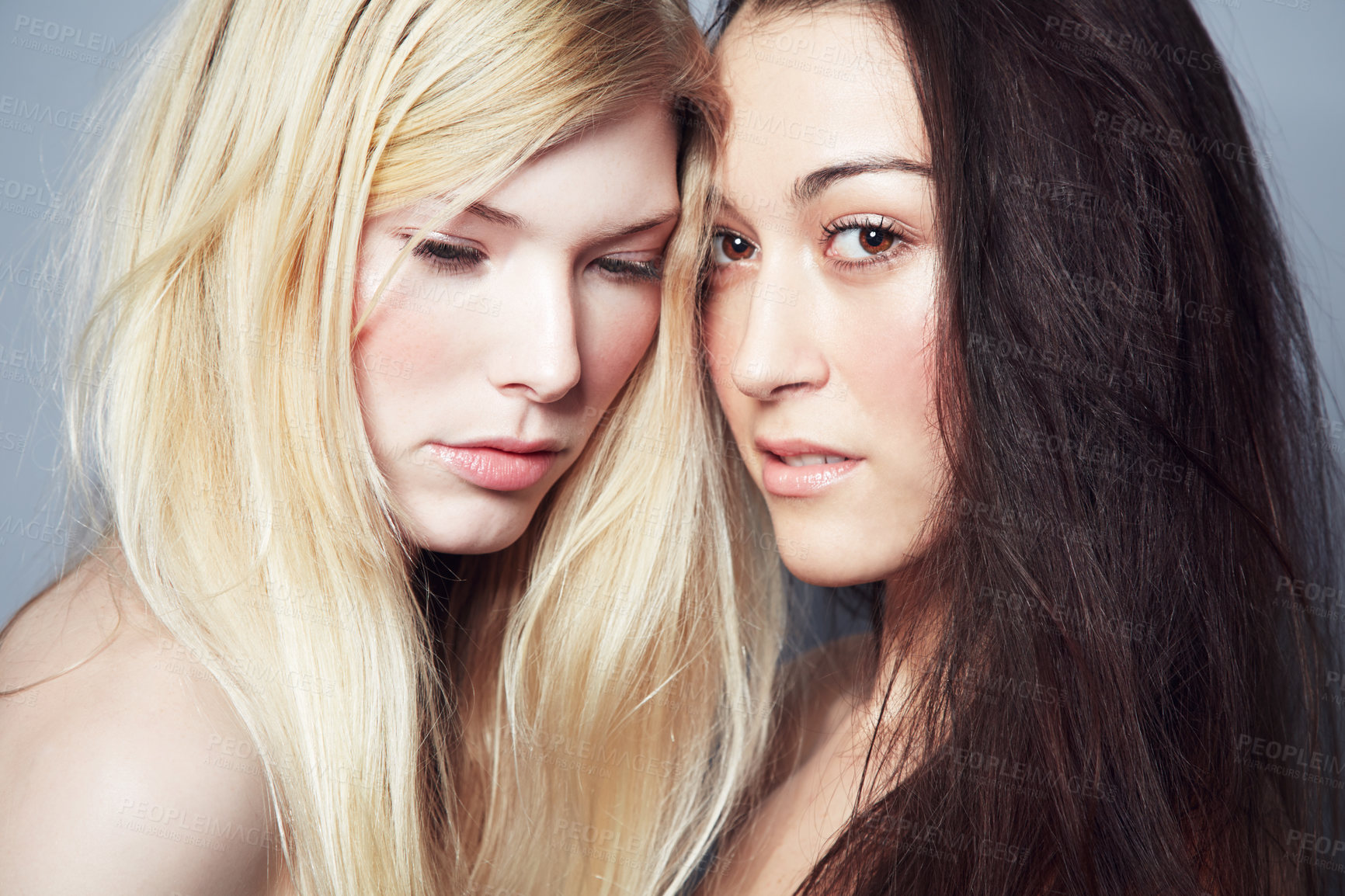 Buy stock photo Portrait of a beautiful blonde and brunette female couple