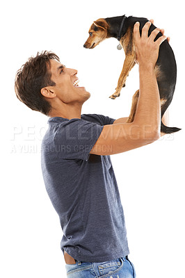 Buy stock photo A young man holding up a little dog and laughing
