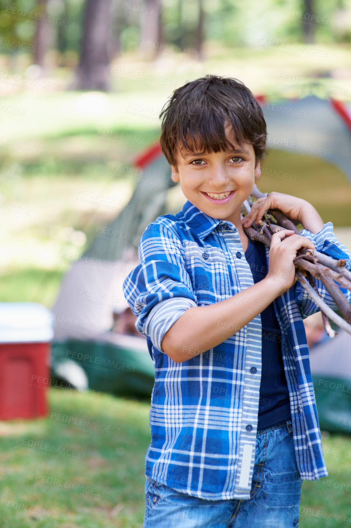 Buy stock photo Wood, camping or portrait of boy in nature for playing, adventure or holiday vacation in park. Relax, collect or happy child with smile or sticks in woods, garden or forest for fun hiking or wellness