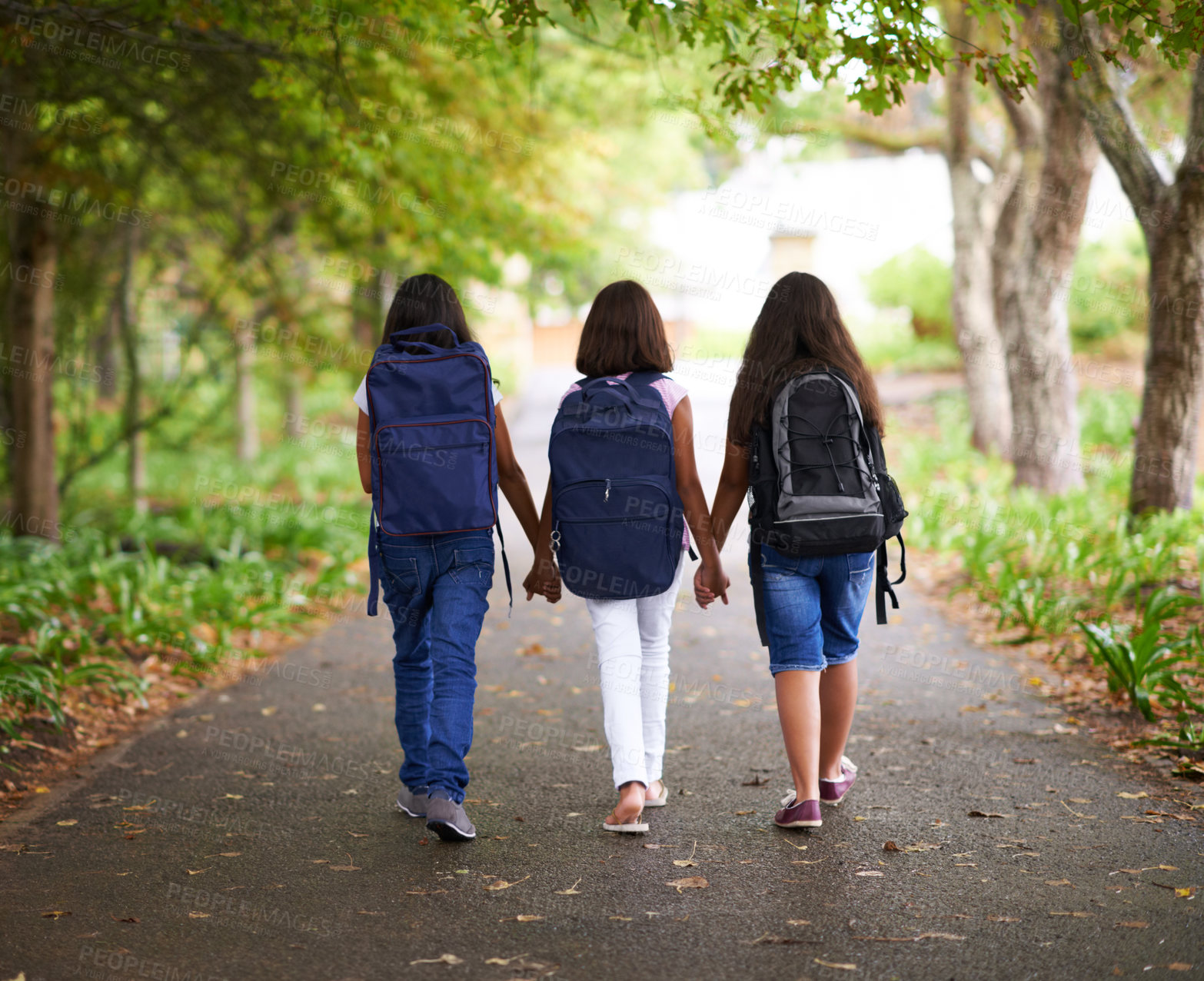 Buy stock photo Woman, friends and holding hands with backpack in park to school for unity, teamwork or community. Rear view of young people or teens walking in nature path with bag for learning, education or class
