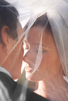 Buy stock photo Kiss, veil and couple at wedding with sunshine, love and commitment at outdoor reception. Romance, face of man and woman at marriage celebration in happiness, loyalty and future partnership together.
