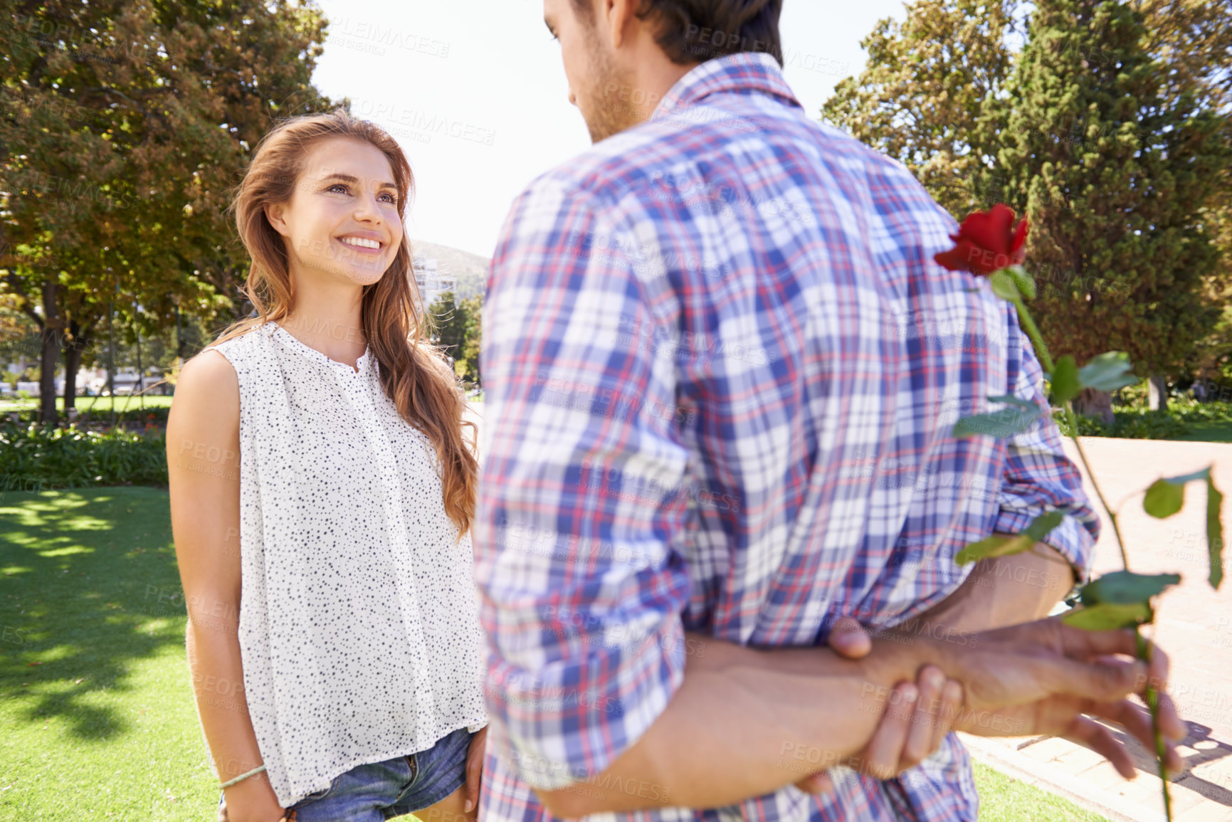 Buy stock photo Rose, surprise and valentines day with a couple in a park together for love, romance or dating in summer. Romantic, dating and special with a man hiding a flower behind his back for his girlfriend