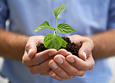 Buy stock photo Soil, plants and hands of person, growth and sustainability of earth day, charity and investment. Sustainable world, care and closeup of leaf, sand and green future of hope, climate change and planet