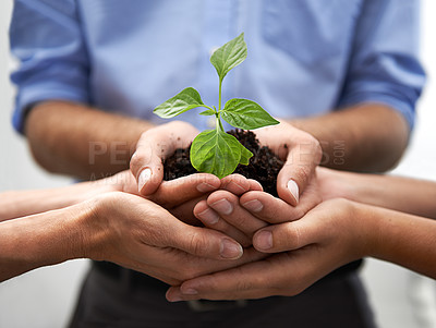 Buy stock photo Closeup, group and hands of people, plants and sustainability to start small business, support or hope. Teamwork, trust and growth of leaf, soil or collaboration in green future, investment and goals