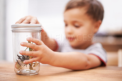 Buy stock photo Child, toys and insect or education play for growth curiosity, development or bug jar. Kid, animals and game or learning kindergarten for teaching discovery or creativity games, coordination or skill