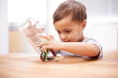 Buy stock photo Child, toys and insect or development play for growth curiosity, education or bug jar. Kid, animals and game or learning kindergarten for teaching discovery or creativity games, coordination or skill