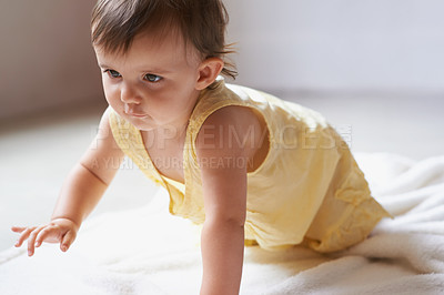 Buy stock photo Baby, crawling and playing on floor, child development and infant growth with happy coordination and home. Girl, learning and healthy in good mood, childhood or balance with arms, kid or adorable