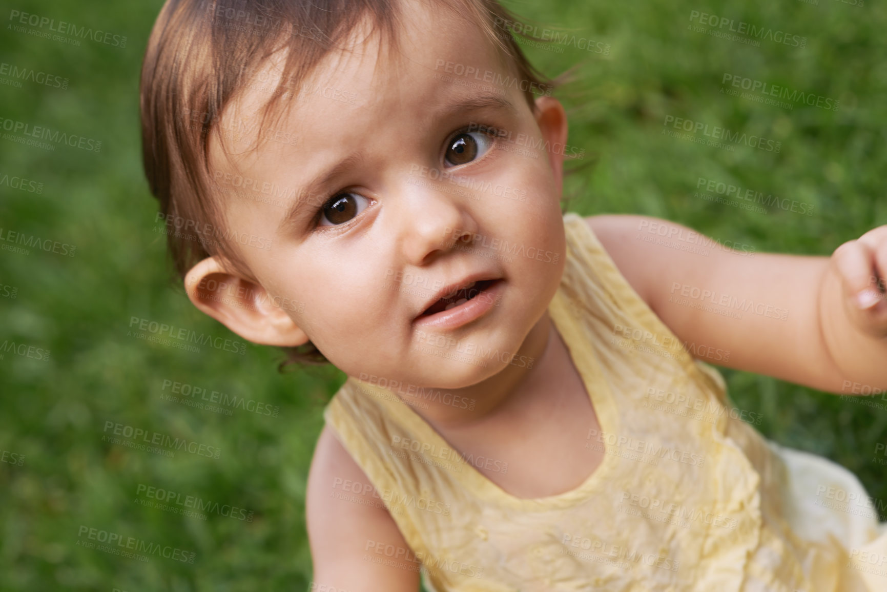 Buy stock photo Sweet, grass and portrait of girl baby having fun and playing in backyard, park or garden. Nature, cute and face of kid, infant or toddler sitting on lawn for child development senses outdoor at home