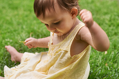Buy stock photo Cute, playing and girl baby on grass having fun in backyard, park or garden for youth. Nature, sweet and kid, infant or toddler sitting on the lawn for child development senses outdoor at home.