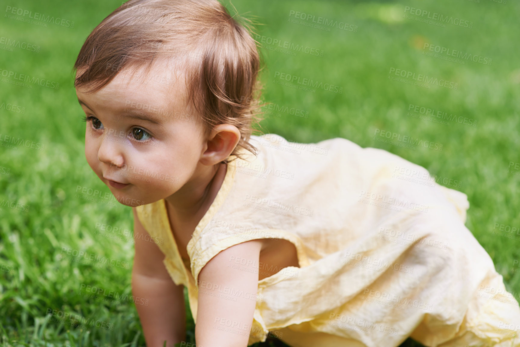 Buy stock photo Sweet, grass and girl baby crawling, having fun and playing in backyard, park or garden. Nature, cute and kid, infant or toddler sitting on the lawn for child development senses outdoor at home.