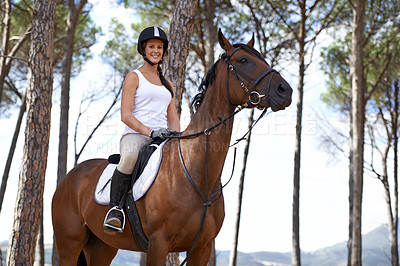 Buy stock photo Portrait, horse riding or happy woman in woods or forest with rider or jockey for recreation or adventure. Smile, relax or equestrian with a pet animal for training, exercise or wellness in nature