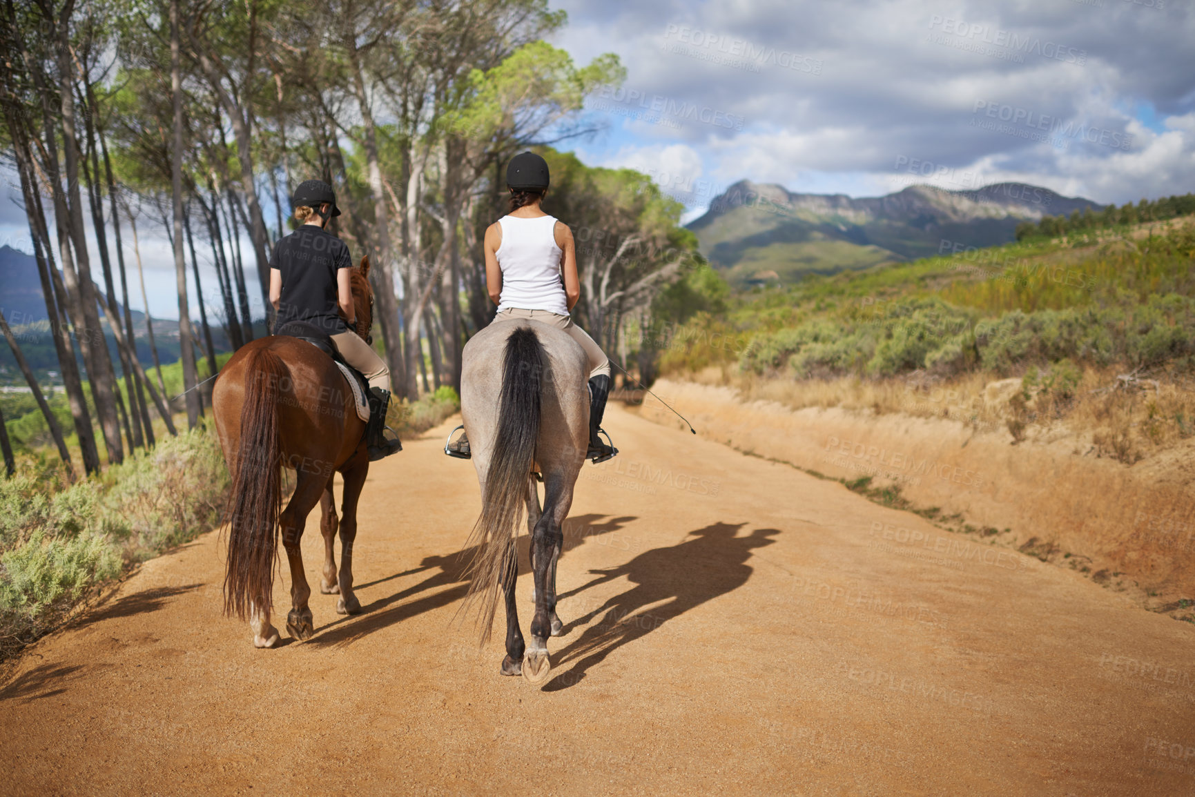 Buy stock photo Rear-view of two women on horseback - riding trail