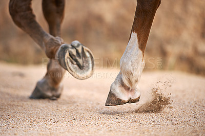 Buy stock photo A horses' hooves while trotting