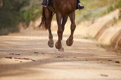 Buy stock photo Cropped view of a horse galloping with it's rider outdoors