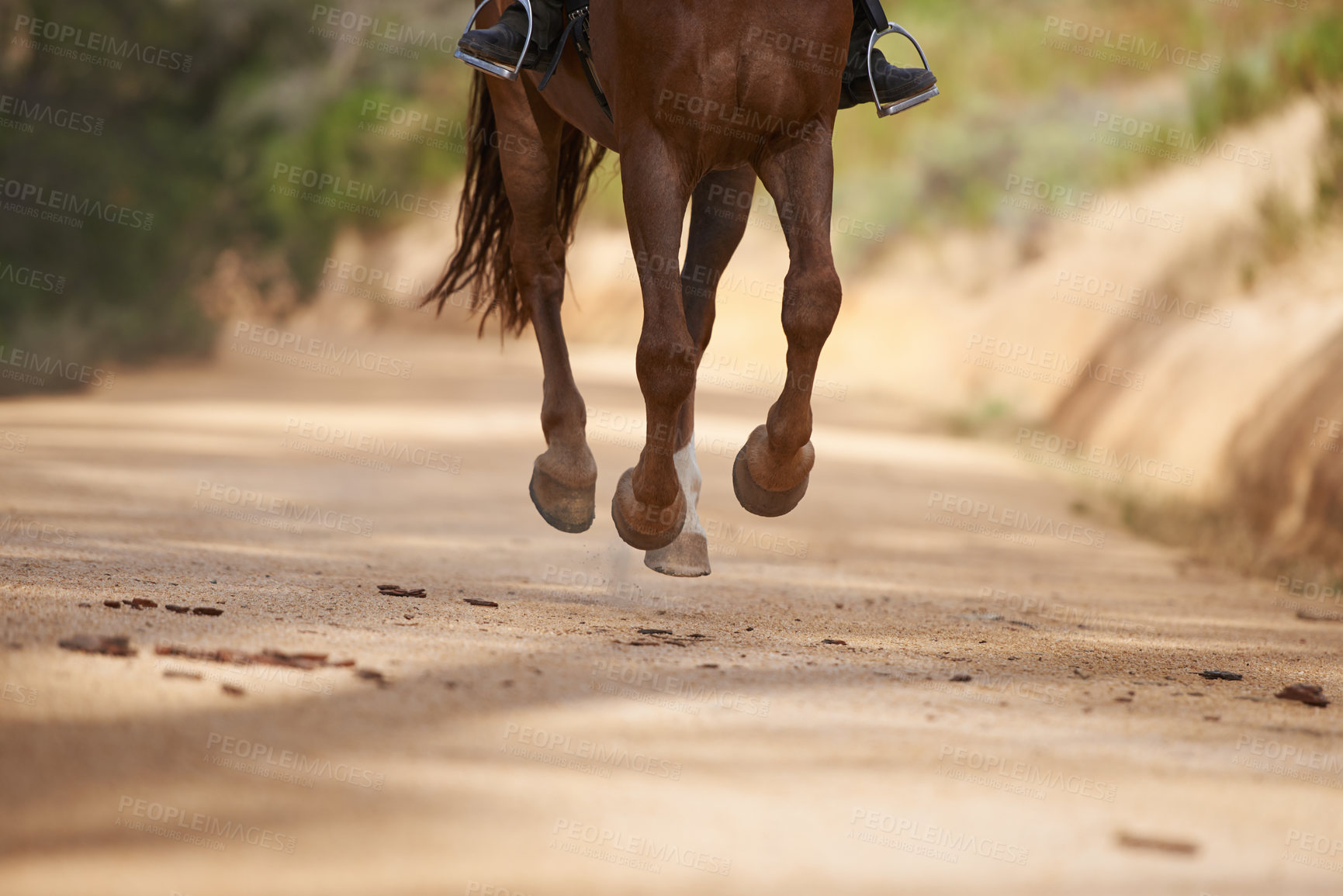 Buy stock photo Cropped view of a horse galloping with it's rider outdoors