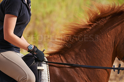 Buy stock photo Jockey, horse and countryside for horseback riding in texas, rider and sport training for performance. Farm, rural and nature in outdoor, adventure and animal in outdoor, pet care and dirt road
