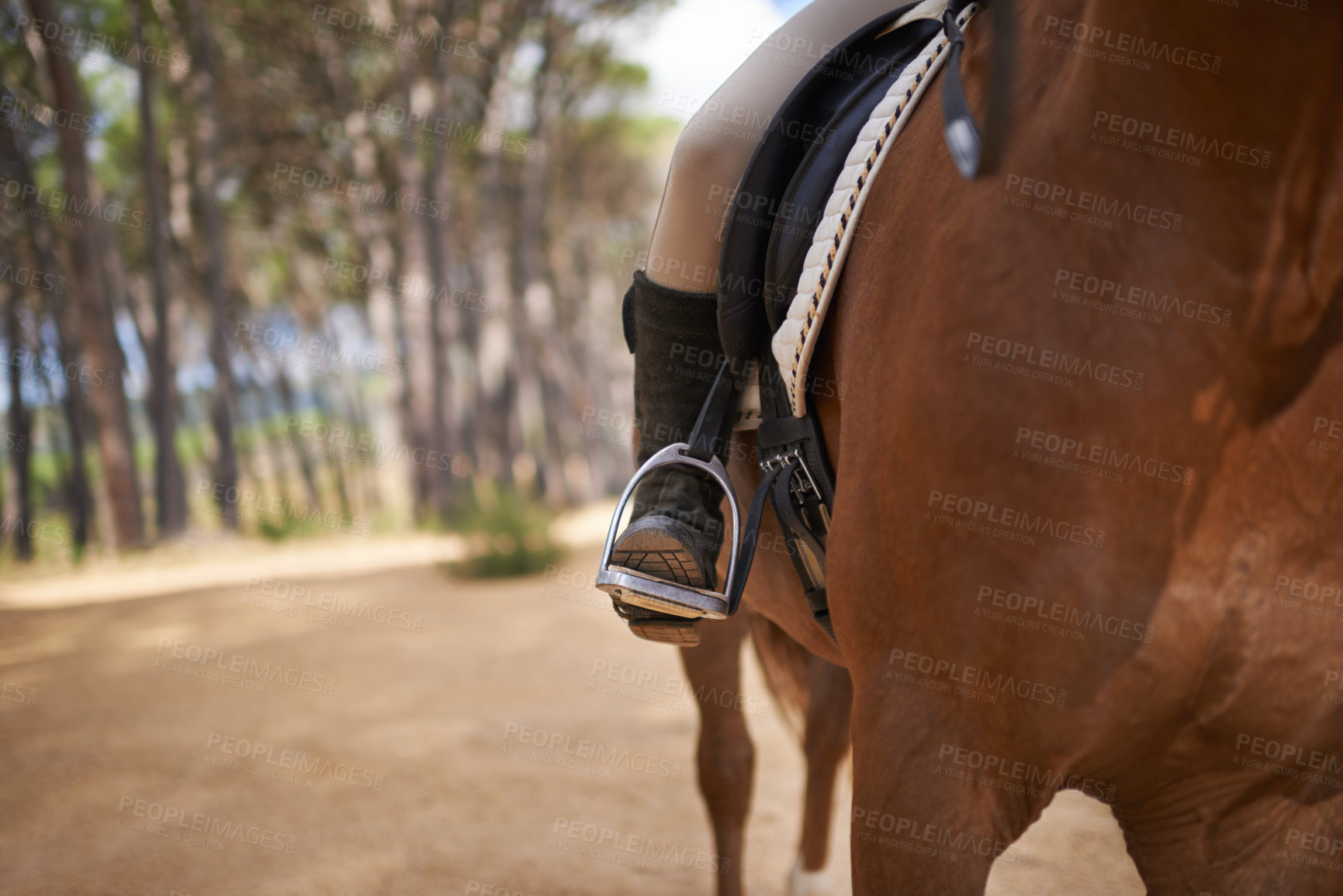 Buy stock photo Person, horse and countryside for riding in texas, stirrup and sport training for performance. Farm, rural and nature in outdoor, adventure and animal livestock with jockey, pet care and dirt road
