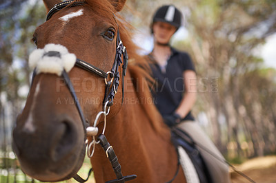 Buy stock photo Equestrian, horse and riding closeup in nature on adventure and journey in countryside. Animal, face and rider outdoor with hobby, sport or pet on farm, ranch and girl training on trail in summer