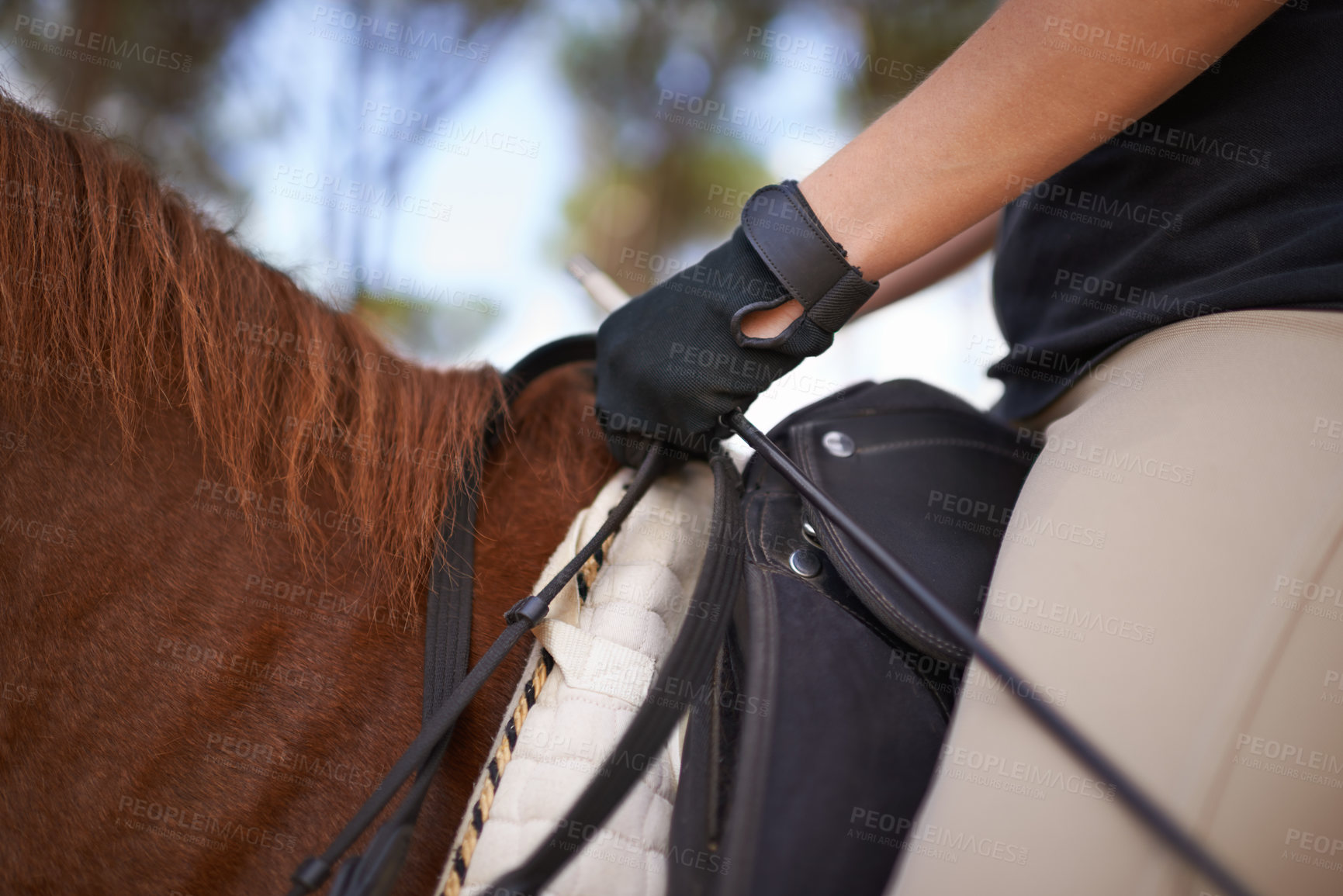 Buy stock photo Equestrian, bridle and hands closeup on horse for riding adventure and journey in countryside. Ranch, animal and rider outdoor with hobby, sport or person training a pet on farm in summer environment